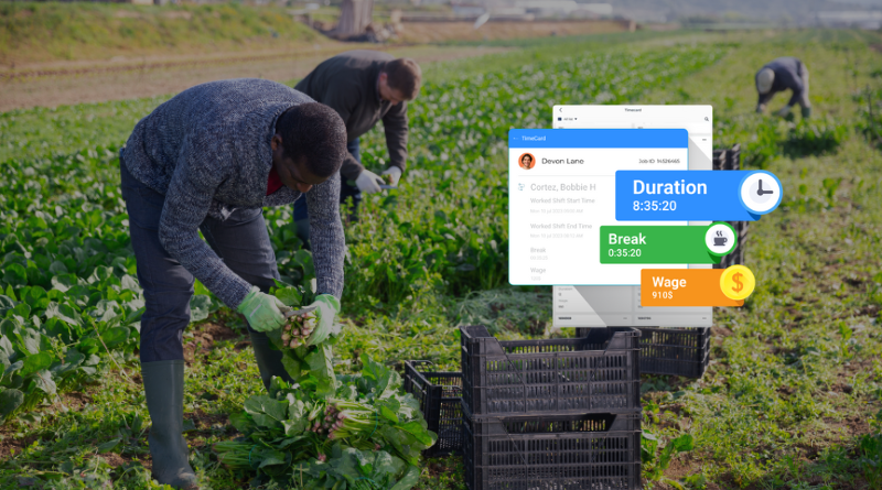 Ensuring Fair Productivity Bonuses for Agricultural Workers With AI