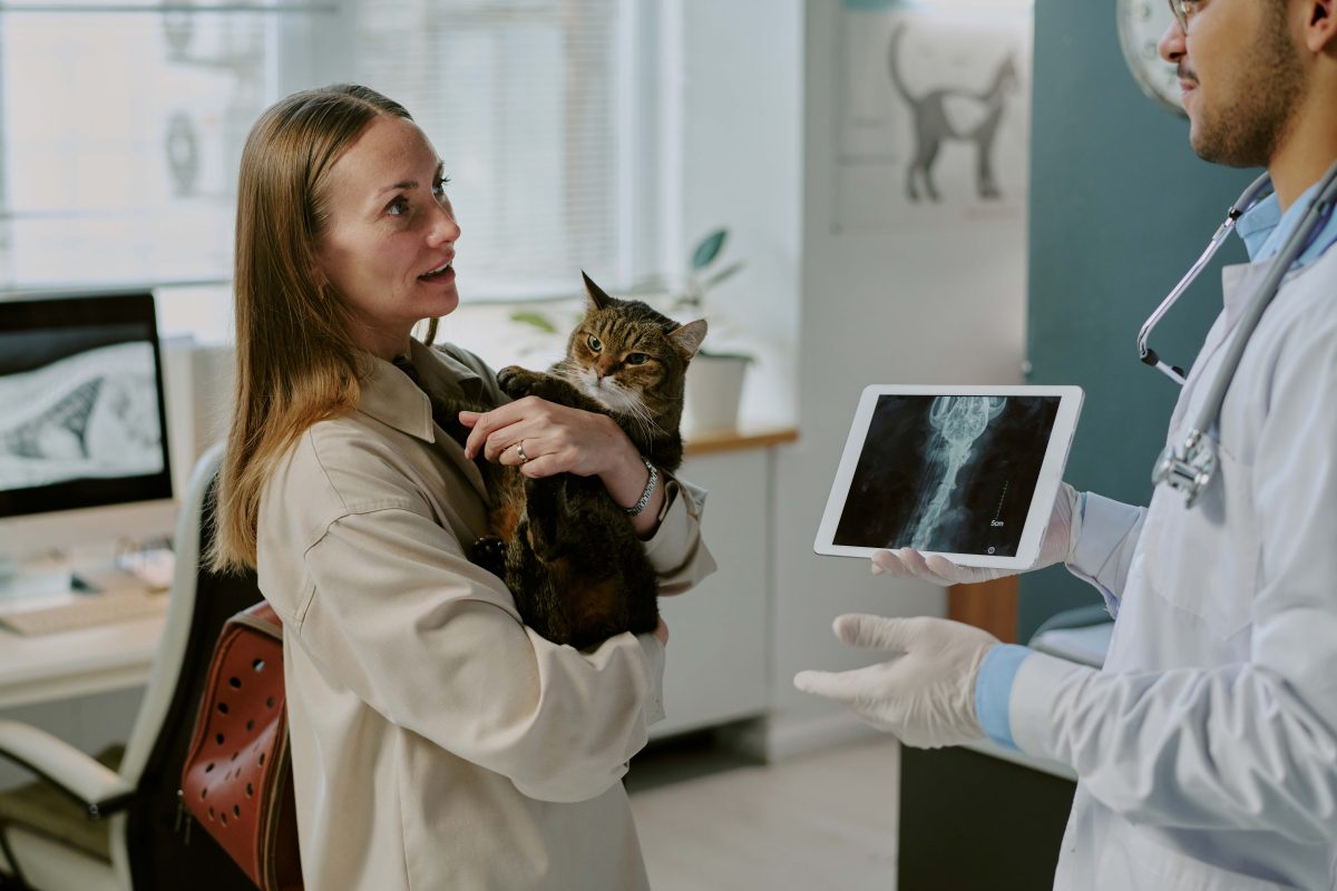 How AI in Veterinary & Pet Care is Modernizing Animal Clinics and Mobile Vet Services